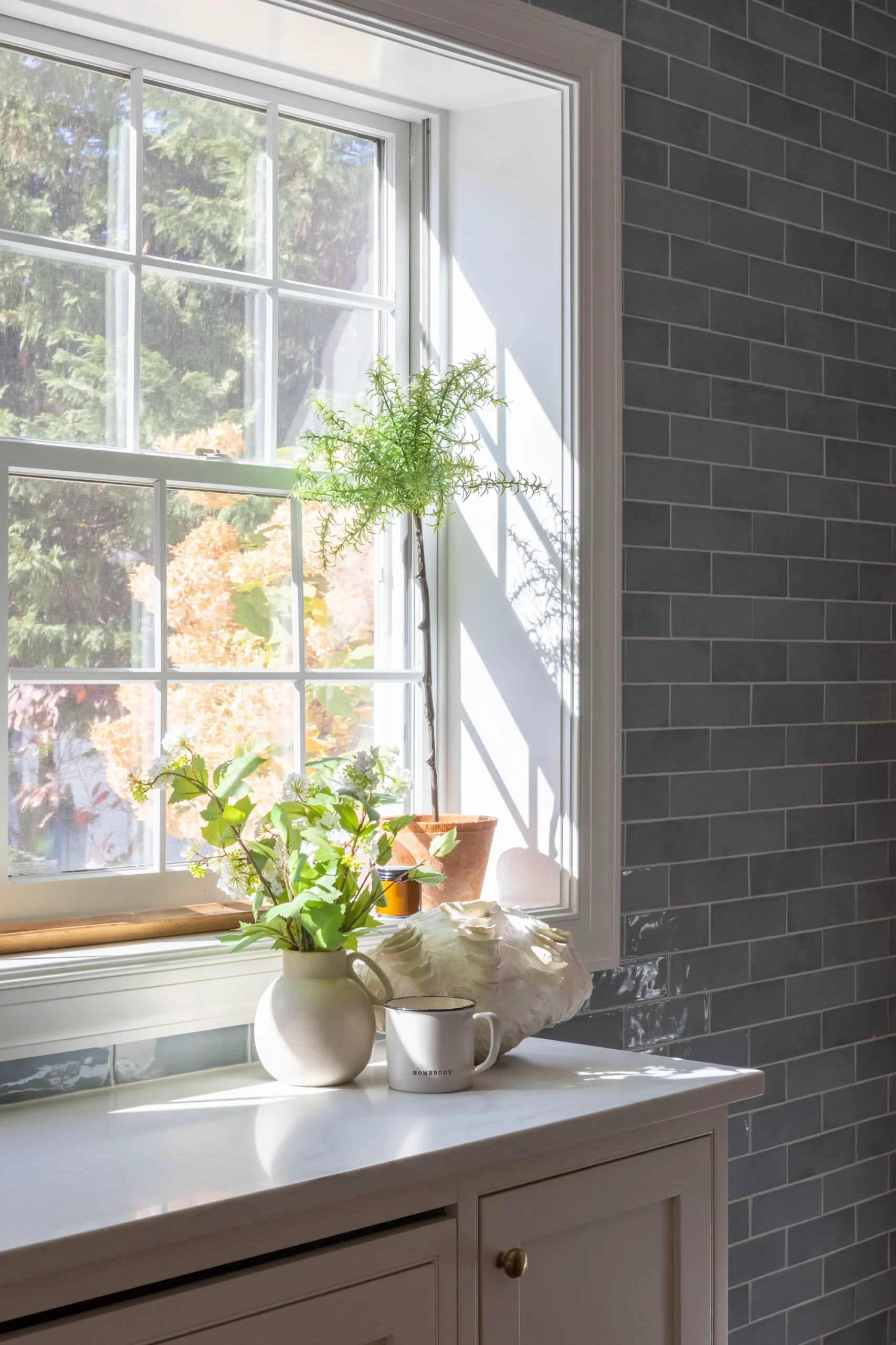 West Haven, Maryland kitchen renovation view of plants beside window